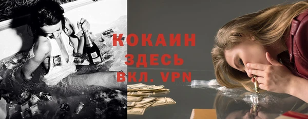 сатива Семилуки