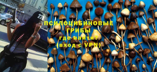 не бодяженный Абдулино