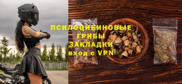 прущие грибы Семёнов